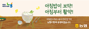 배너