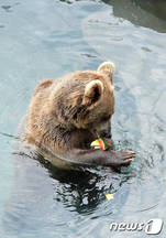 [날씨] 내일 남부·영남 ‘폭염’ 기상특보 속 ‘찜통더위’…중부, ‘가끔 비’ 예보, 전국 곳곳 ‘열대야’
