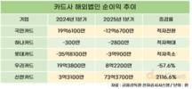 힘겨운 카드사 해외법인…신한카드만 급성장