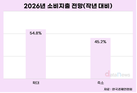 국민 절반 이상, 올해 소비지출 작년보다 늘릴 것