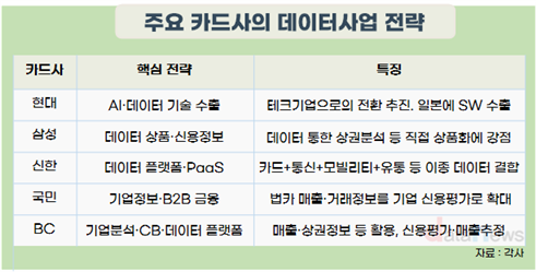 카드업계, 수수료·대출사업 막히자 ‘결제 데이터’에서 금맥 찾기