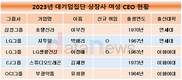 LG의 힘…대기업집단 상장사 여성CEO 비중 1%대 진입