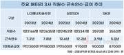 배터리 3사, 수익성 악화 영향 임·직원 연봉↓