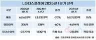 LG디스플레이,OLED 중심 체질 개선으로 2분기 연속 흑자