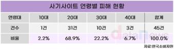 가짜 해외 쇼핑몰 기승…20·30대 피해자 속출