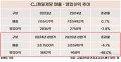 소비심리 위축 등 내수침체…CJ제일제당, 식품 부진 직격탄