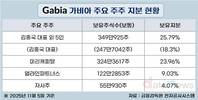 가비아, 행동주의 압박 속 ‘주주환원 강화’ 카드 만지작