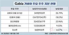 가비아, 행동주의 압박 속 ‘주주환원 강화’ 카드 만지작