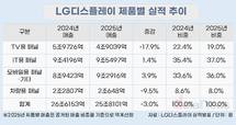 LGD, 외형 줄었지만 흑자 전환…OLED 전환 효과 본격화