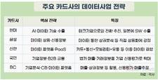 카드업계, 수수료·대출사업 막히자 ‘결제 데이터’에서 금맥 찾기