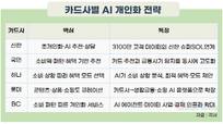 AI가 내 소비 읽어 ‘최적의 카드’ 골라준다…카드사 ‘초개인화’ 경쟁