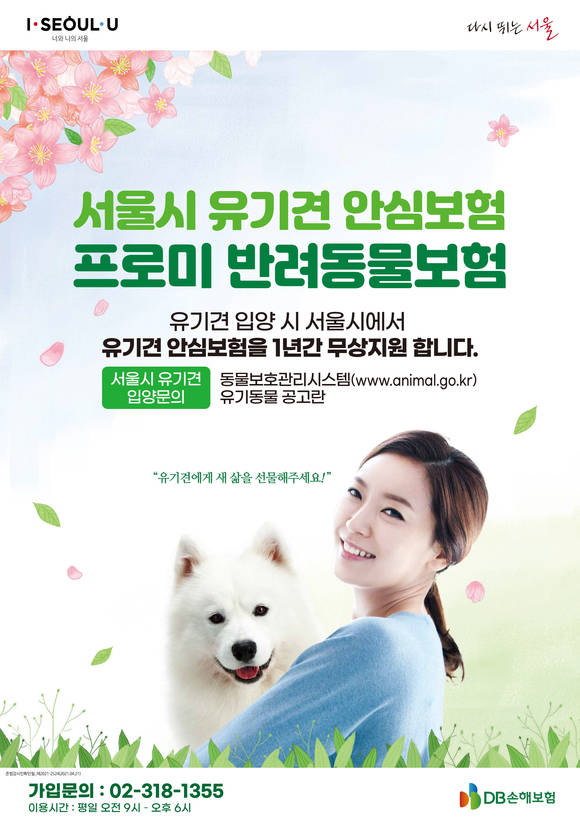 ▲서울시가 유기견 입양을 입양한 가족에게 DB손해보험의 프로미 반려동물보험을 1년간 지원한다. / 사진=DB손해보험