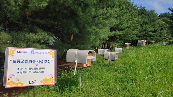 ▲LS그룹 연수원인 경기도 안성시 LS미래원 야외 정원에 설치된 토종꿀벌 양봉시설 전경 / 사진=LS그룹
