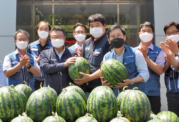 ▲현대모비스가 전국에 위치한 우수 AS 부품 협력사 250여 곳에 계절과일을 전달한다. / 사진=현대모비스