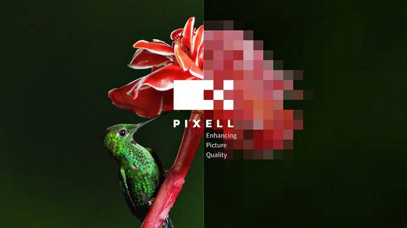 ▲실감형 영상 콘텐츠 제작 스타트업 포바이포의 화질 개선 솔루션 ‘픽셀(PIXELL)’ / 사진=롯데홈쇼핑
