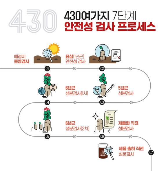 ▲KGC인삼공사의 안전성 검사 프로세스 / 자료=KGC인삼공사