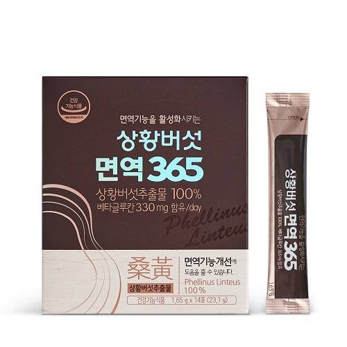 버섯과면역 이미지