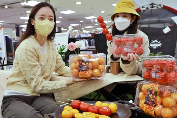 ▲롯데마트 서울역점에서 모델들이 ‘캠핑갈때 감귤’과 ‘구워먹는 토마토’를 홍보하고 있다. / 사진=롯데마트