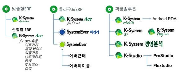▲영림원소프트랩의 주요 제품 / 자료=영림원소프트랩