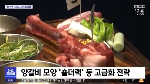 ▲신도세기는 특허 출원한 금돼지 숄더랙을 선보였다고 밝혔다. / 사진=신도세기