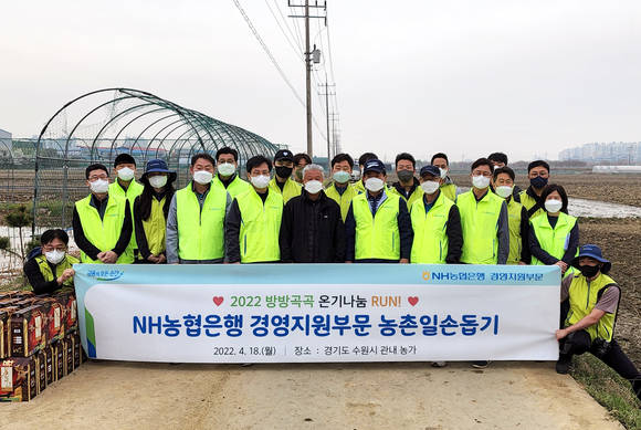 ▲이수환 NH농협은행 경영지원부문 부행장(앞줄 왼쪽 네 번째)과 염규종 수원농협조합장(농협중앙회 이사, 여섯 번째), NH농협은행 경영지원부문 직원들이 18일 수원시 권선구 소재 벼 농가를 찾아 모판작업, 환경정화활동 등 일손 돕기를 실시하고 기념사진을 촬영하고 있다. / 사진=NH농협은행