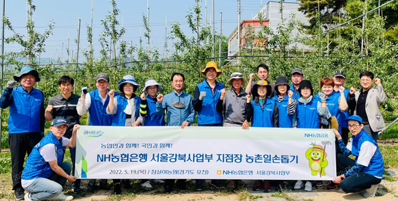▲강태영 NH농협은행 서울강북사업본부장(뒷줄 왼쪽 일곱번째)과 지점장들이 포천시 창수면 오가리 소재 사과 농가를 방문해 사과 꽃따기와 농가 일대 자연 정화 활동 등 일손돕기를 진행했다. / 사진=NH농협은행