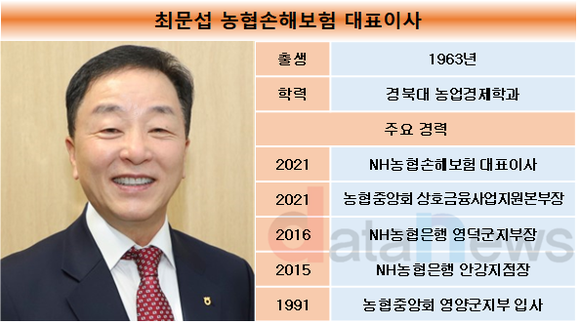 [취재] 최문섭 농협손보 대표, 임기 내 실적 성장 일궜지만...연임 전망은 흐려