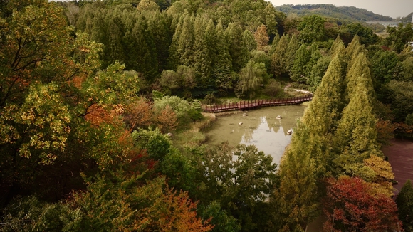 ▲오산 물향기수목원 습지생태공원 / 사진=경기도관광공사 경기도관광공사, 11월 가을 여행명소 5곳 추천
