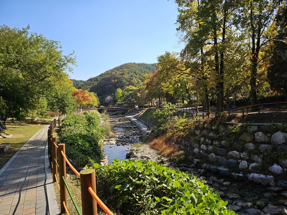 ▲양평 용문산관광단지 전경 / 사진=경기도관광공사 경기도관광공사, 11월 가을 여행명소 5곳 추천