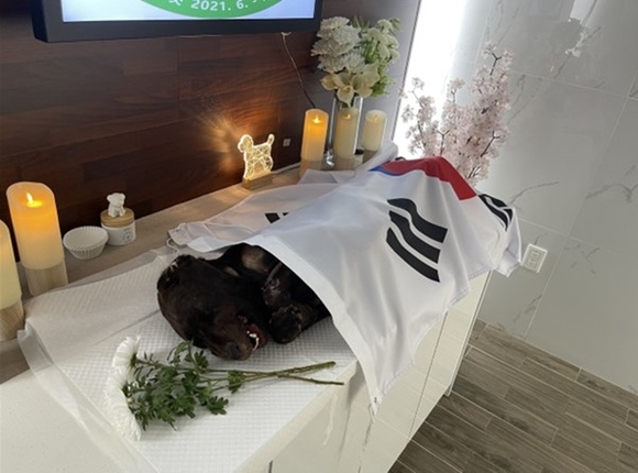 ▲경찰견 ‘라텔’이가 오수펫추모공원 내 반려동물 현충원에 장레를 치르는 모습 임실군 ‘오수펫추모공원, 경찰견 ‘라텔’ 반려동물 현충원 안치