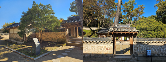 ▲여주 효종대왕릉 회양목 / 사진=경기관광공사 경기관광공사, 경기도 천년 나무 소개
