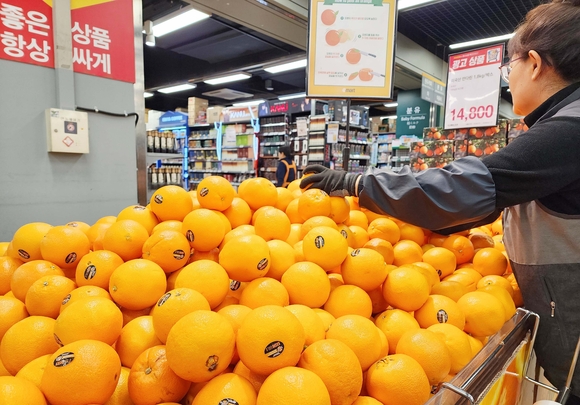 이마트, 과일값 잡아라…오렌지·망고 등 수입과일 할인