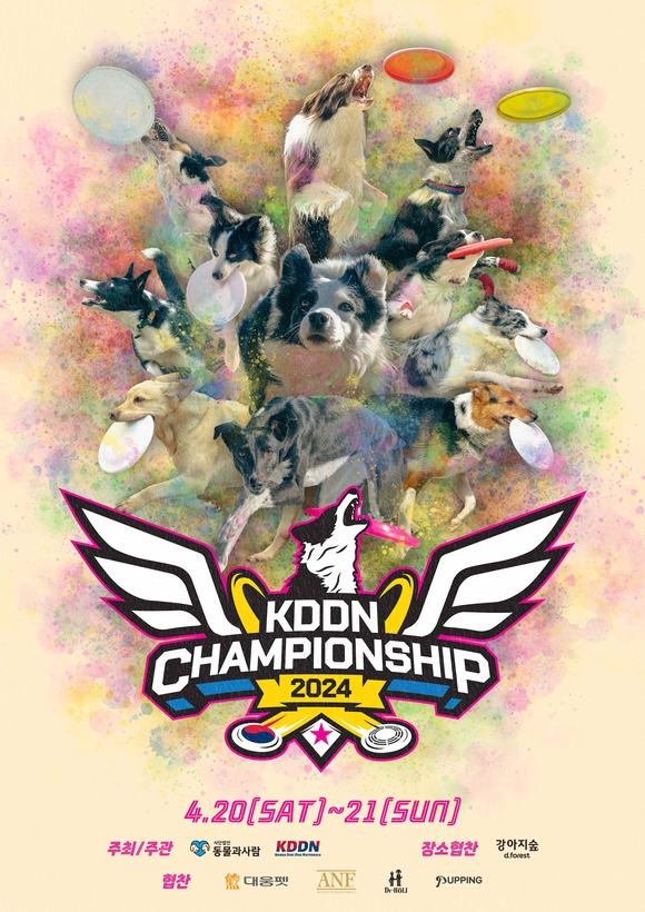 ▲국제 디스크도그 대회 ‘KDDN 챔피언십 2024’ / 사진=더존비앤씨티 디스크도그 대회 ‘KDDN 챔피언십 2024’ 강아지숲서 열린다