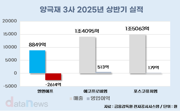 [취재] 나홀로 적자 엘앤에프, LFP 양극재로 반등 시동