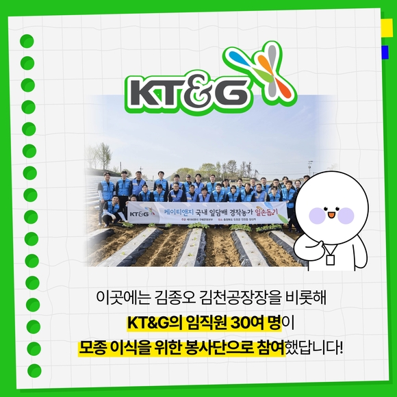 [카드뉴스] KT&G, 잎담배 농가 모종이식 봉사활동 진행